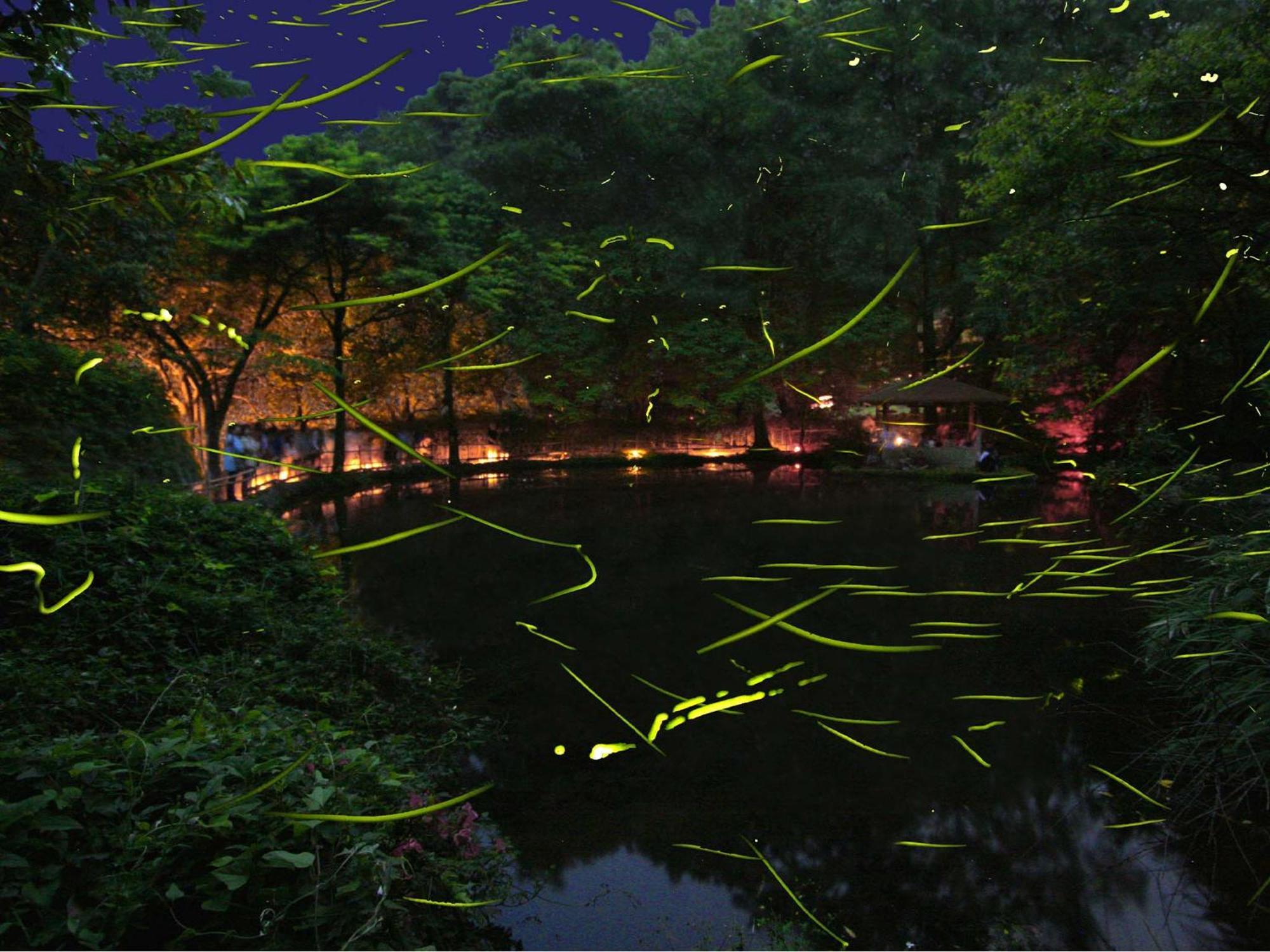 Izu Katase Onsen Ayumitei Fukumatsuso Hotel Higashiizu Exterior photo